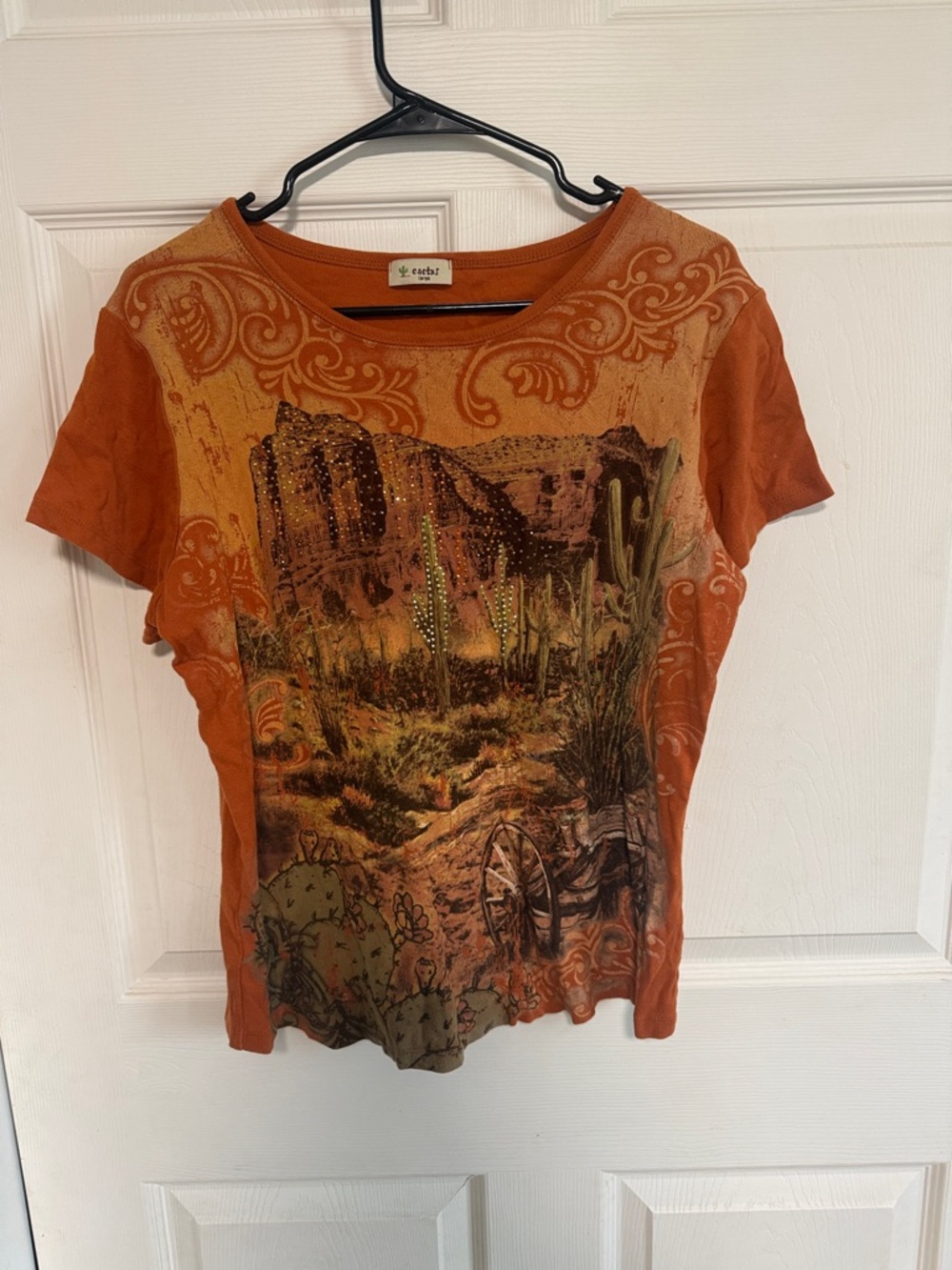 Earth Rust-Orange Desert Graphic Tee with Rhinestone Accents